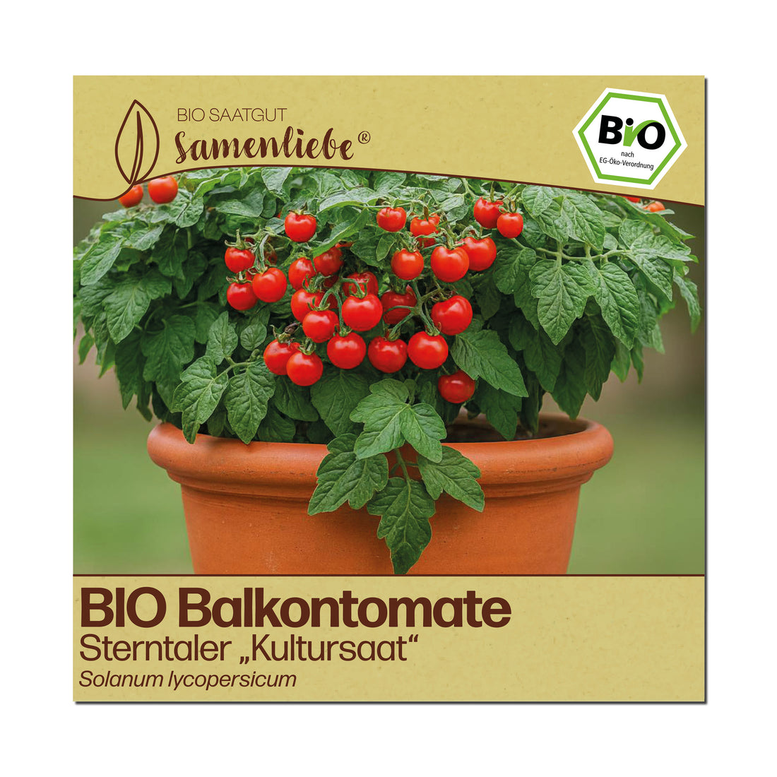 BIO Tomate "Sterntaler - Kultursaat"