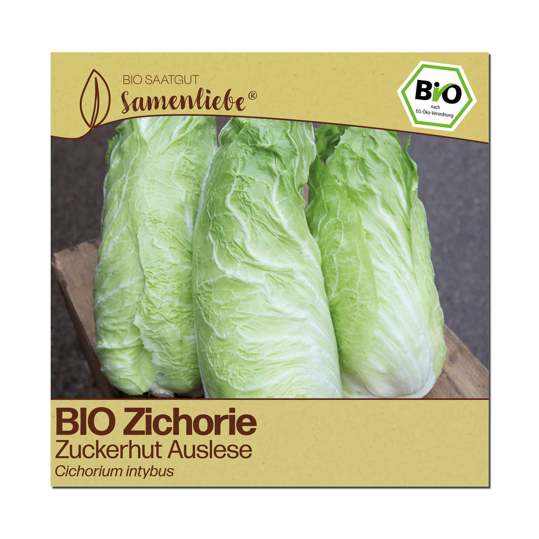 BIO Zichorie "Zuckerhut Auslese"