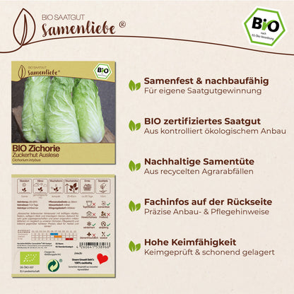 BIO Zichorie "Zuckerhut Auslese"