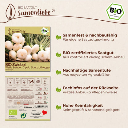 BIO Zwiebel "Cipolla Bianca di Maggio"