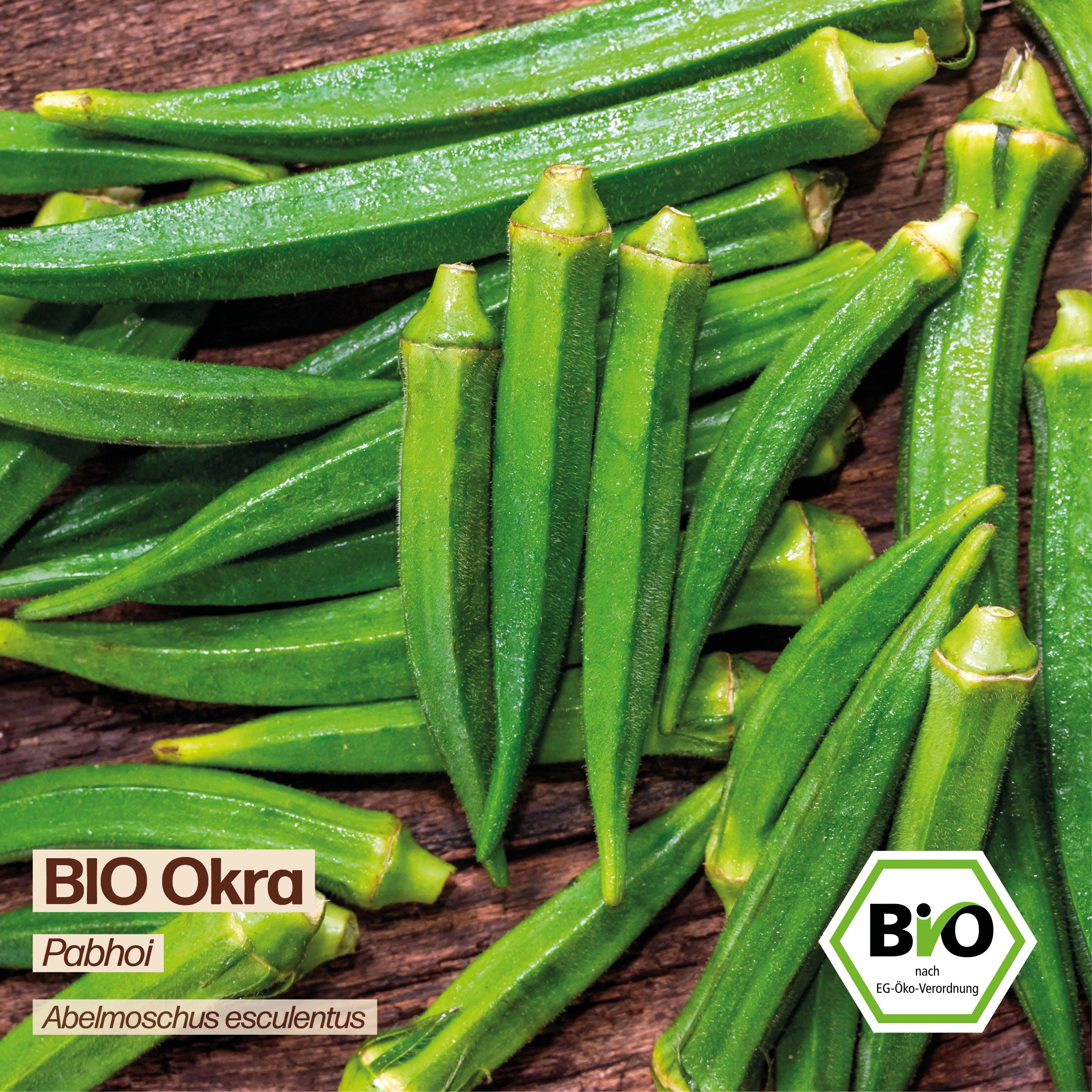 BIO Okra "Pabhoi"