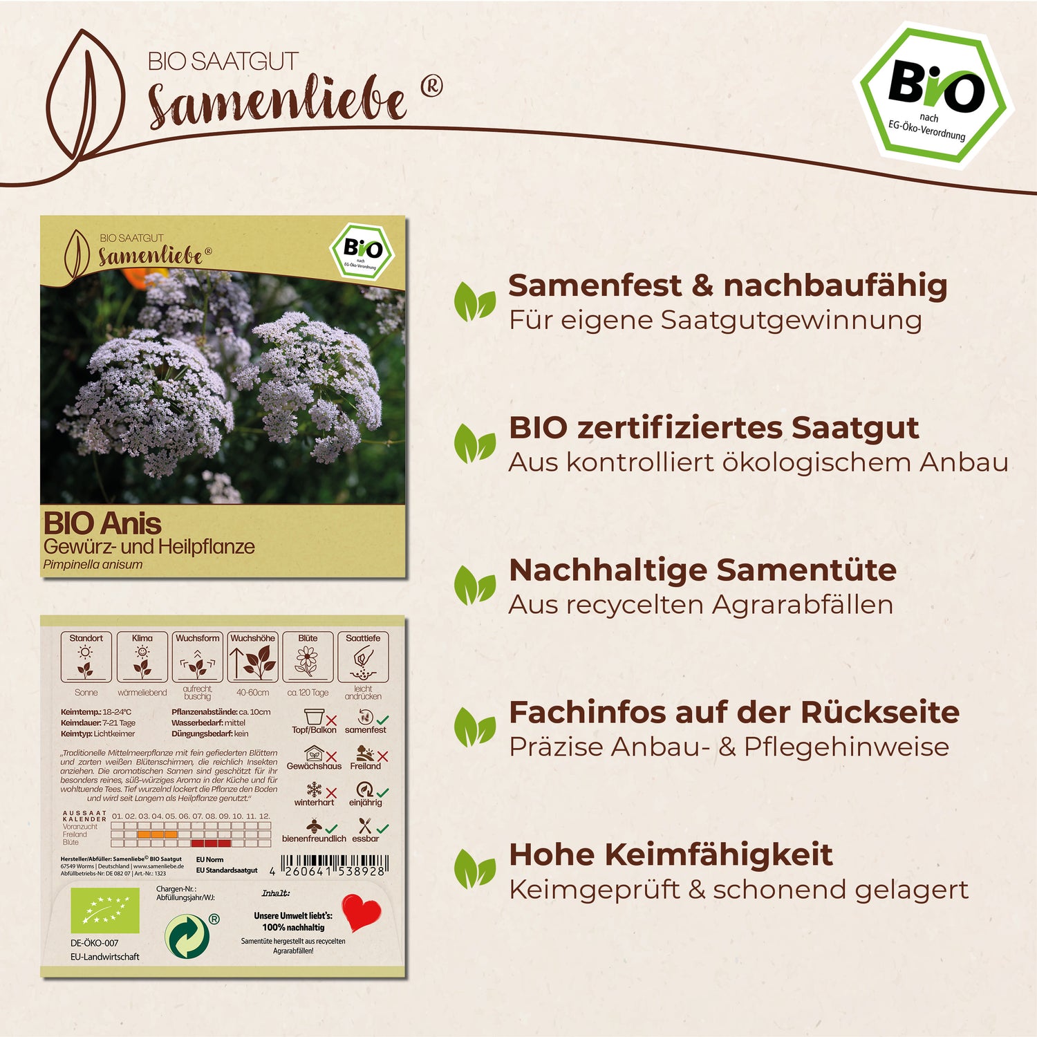 BIO Anis "Heilpflanze"