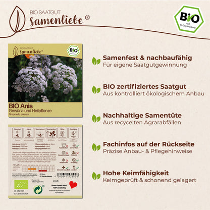 BIO Anis "Heilpflanze"