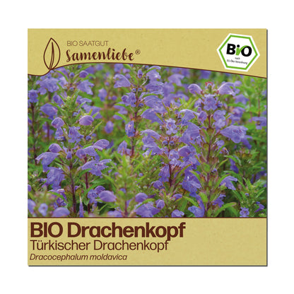 BIO Drachenkopf "Türkischer Drachenkopf"
