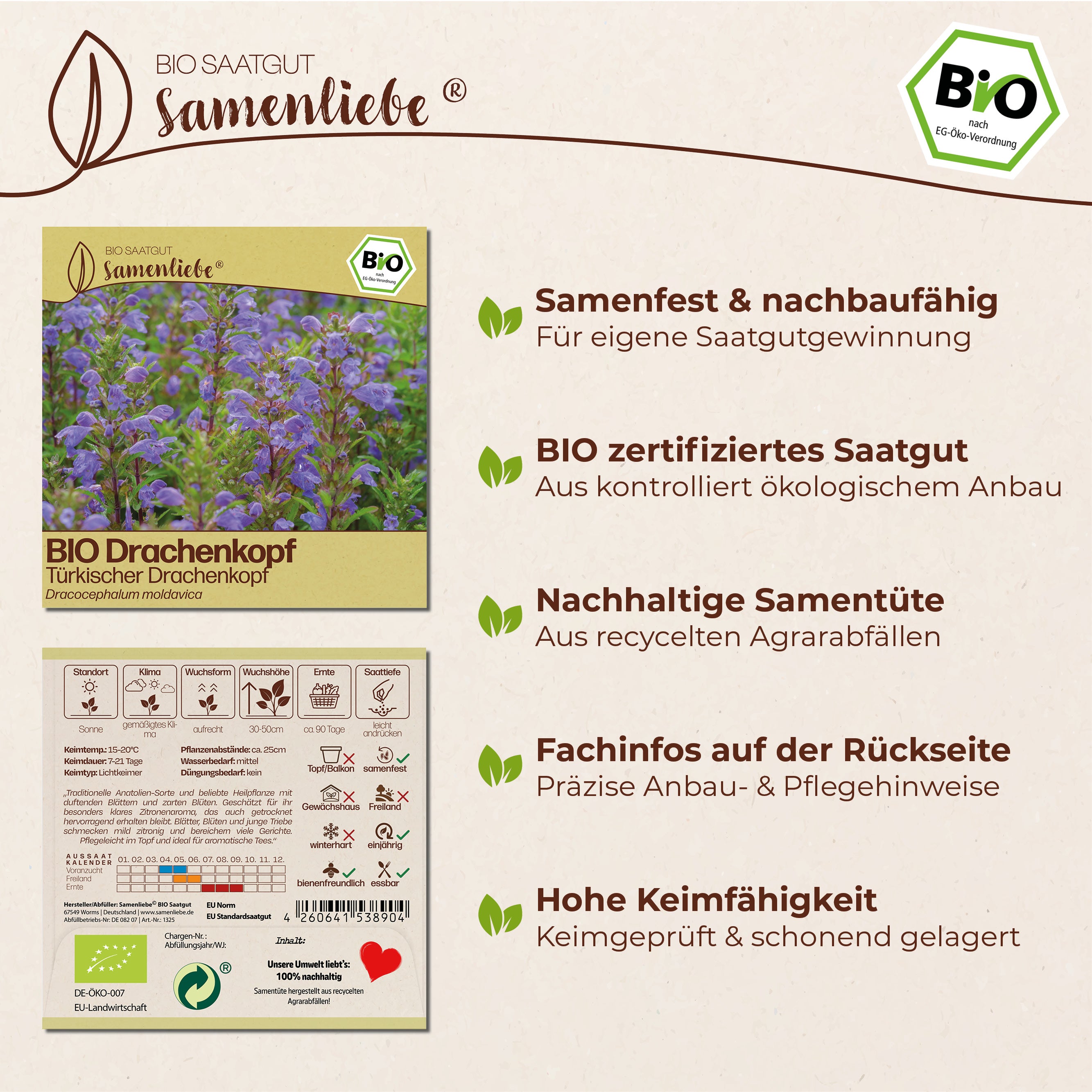 BIO Drachenkopf "Türkischer Drachenkopf"
