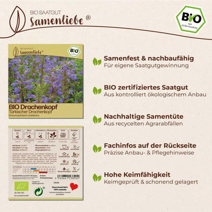 BIO Drachenkopf "Türkischer Drachenkopf"