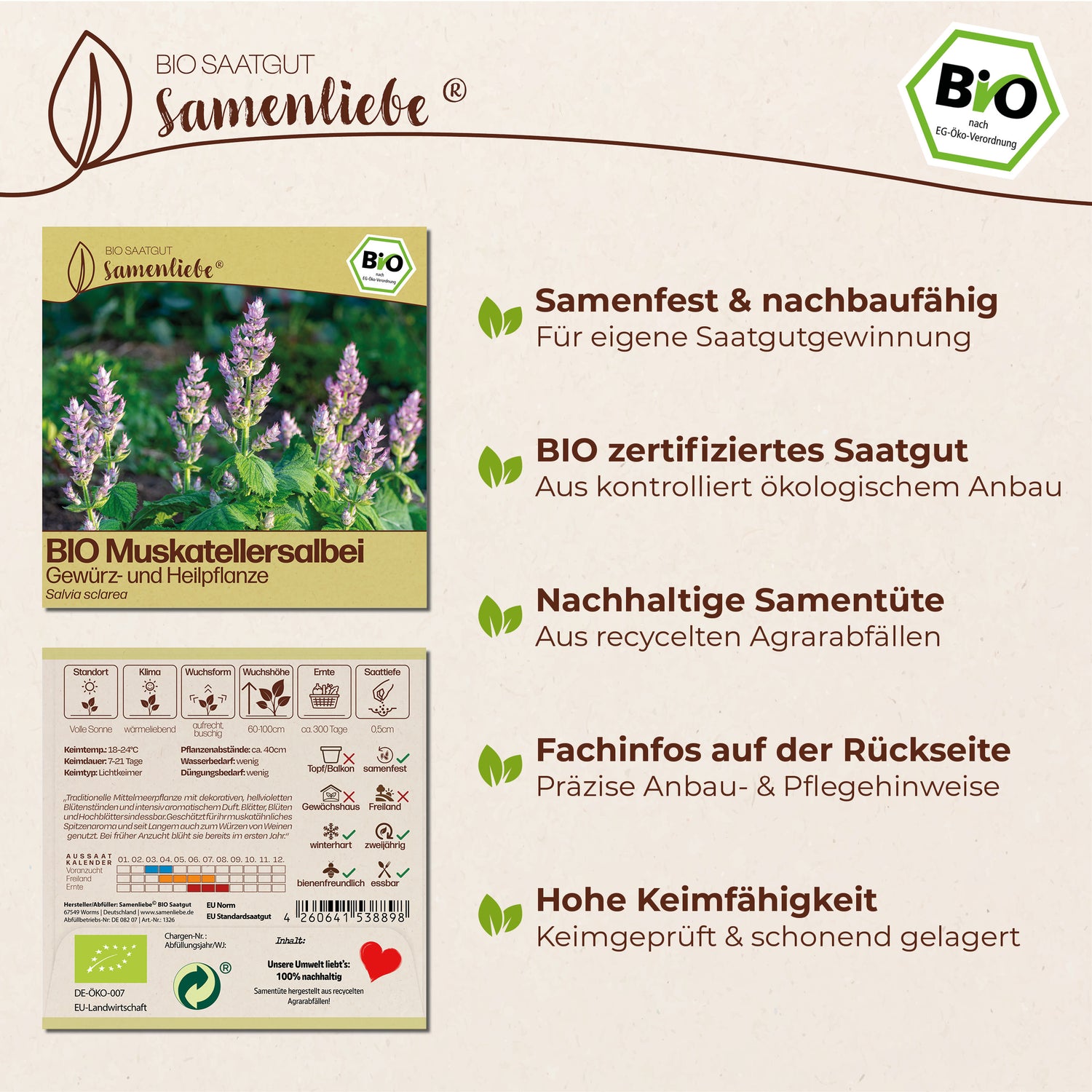 BIO Muskatellersalbei "Heilpflanze"