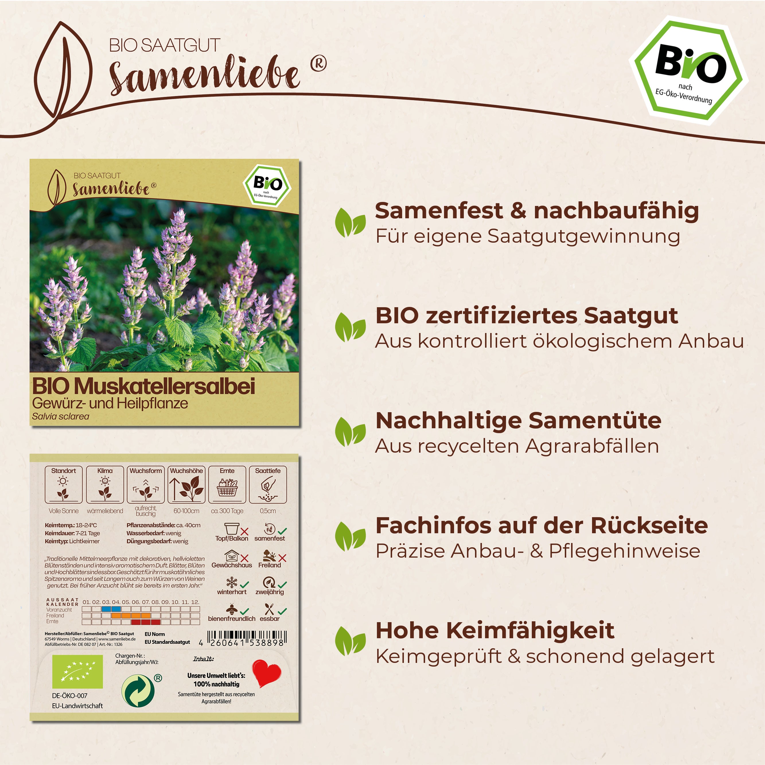 BIO Muskatellersalbei "Heilpflanze"