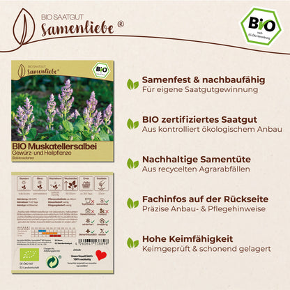 BIO Muskatellersalbei "Heilpflanze"