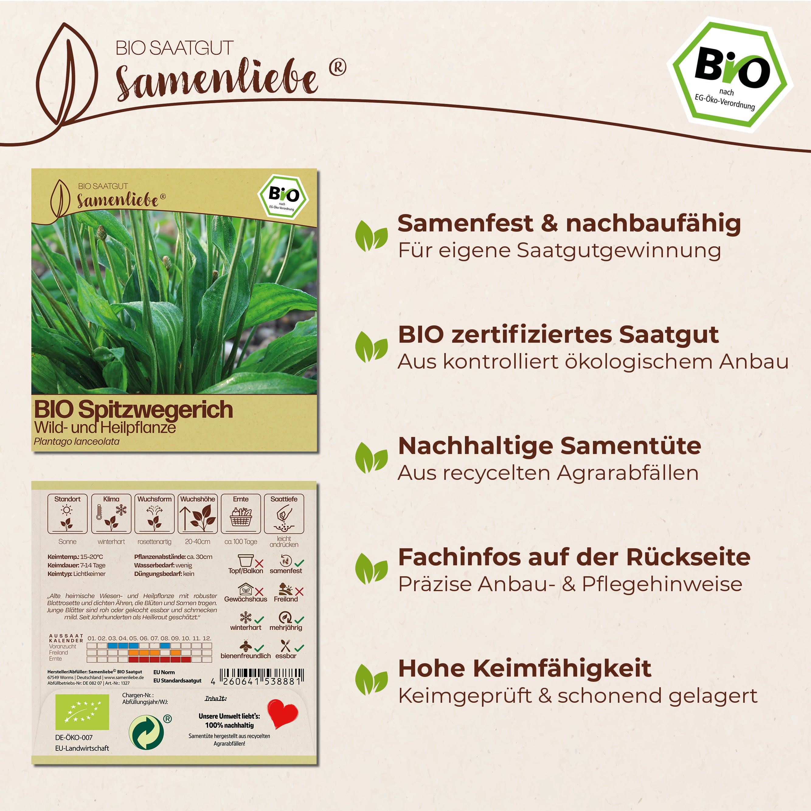 BIO Spitzwegerich "Heilpflanze"