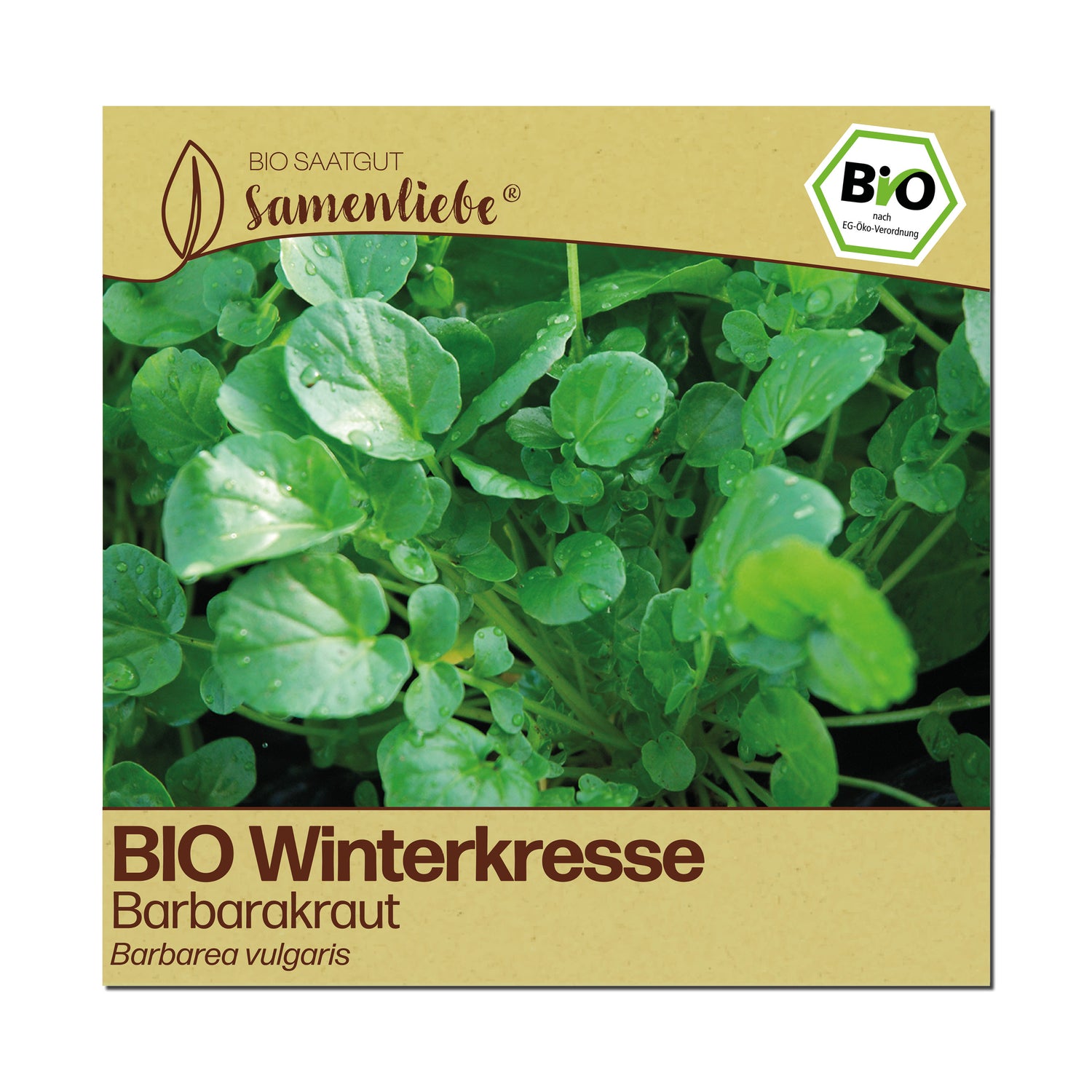 BIO Winterkresse "Barbarakraut"
