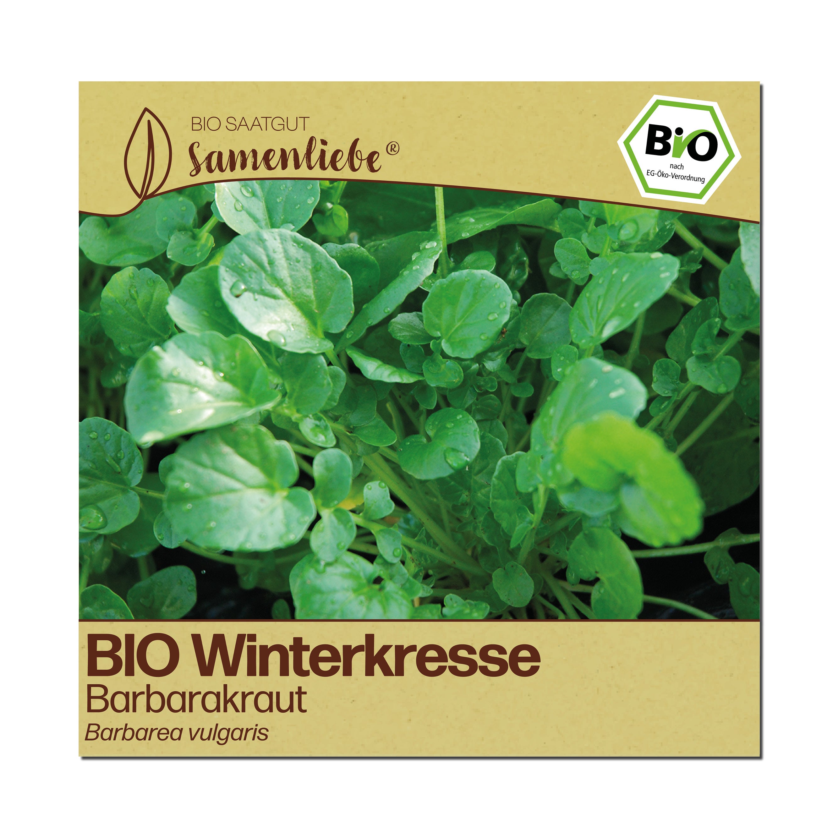 BIO Winterkresse "Barbarakraut"