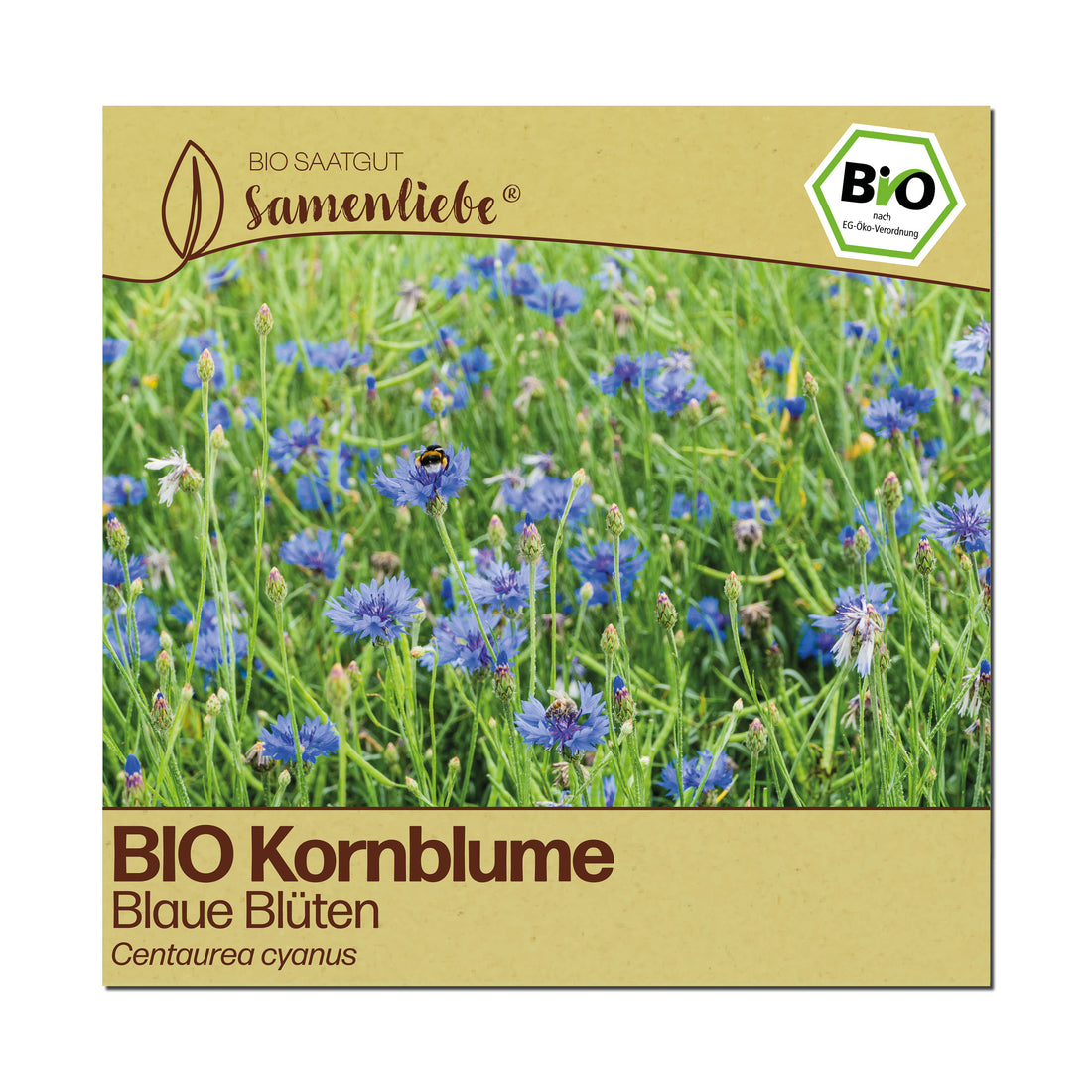 BIO Kornblume "Blaue Blüten"