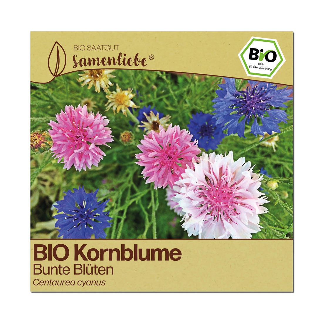 BIO Kornblume "Bunte Blüten"