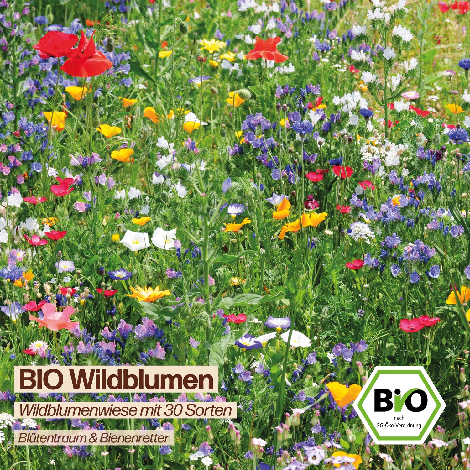 BIO Wildblumen "Wildblumenwiese mit 30 Sorten"