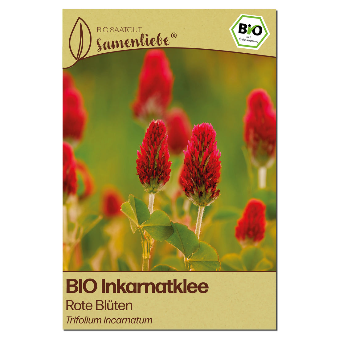 BIO Inkarnatklee "Gründünger"