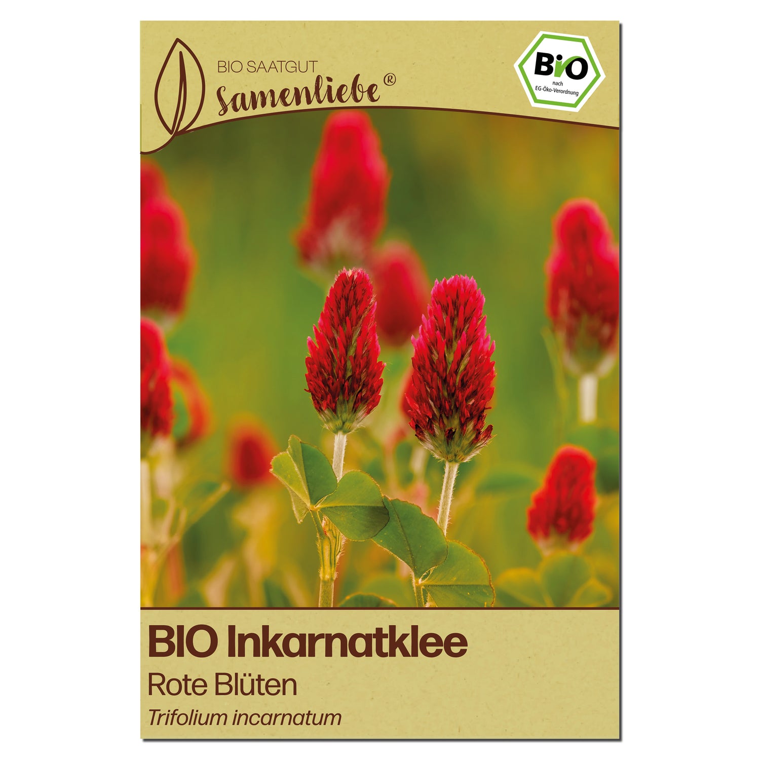 BIO Inkarnatklee "Gründünger"