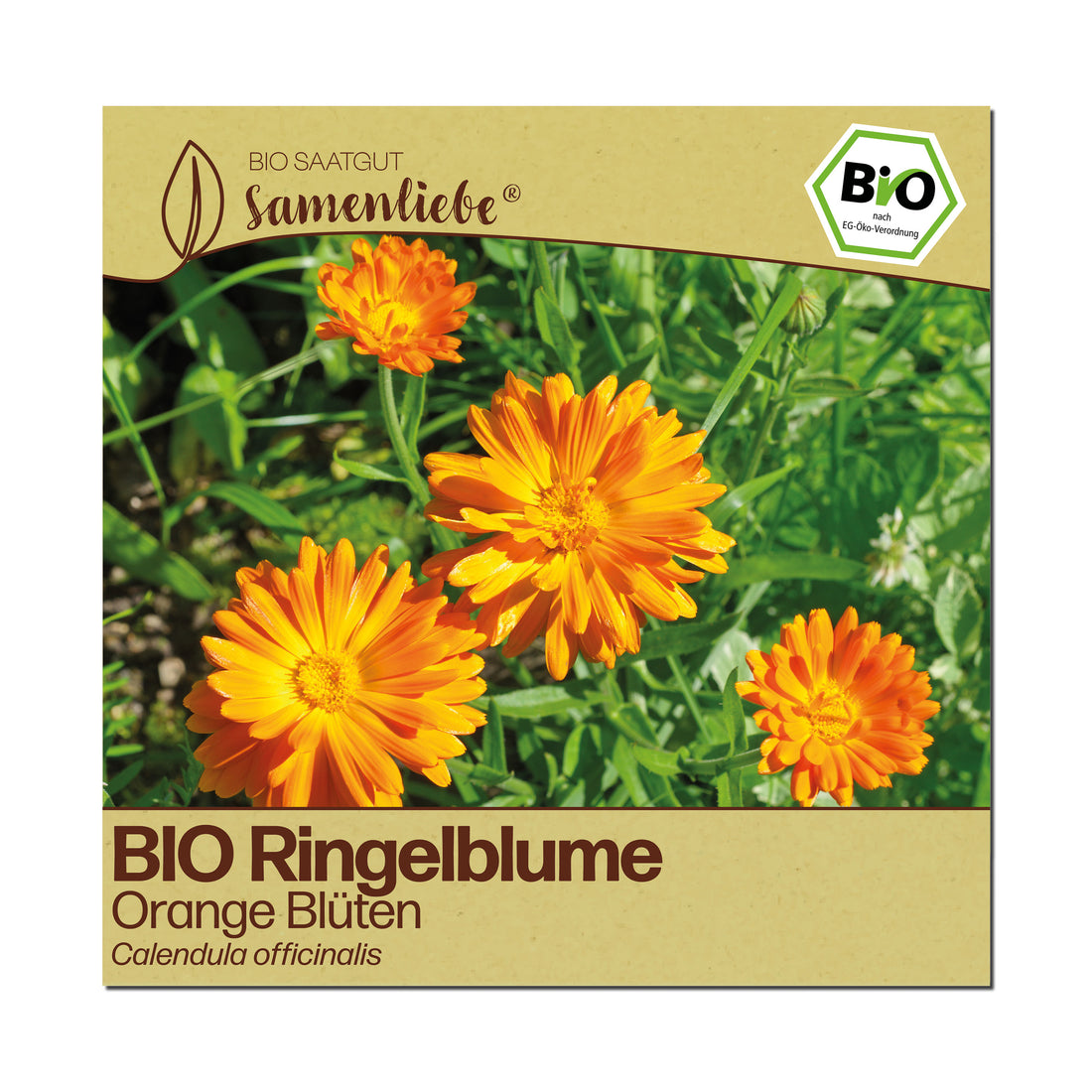 BIO Ringelblume "Wildblume"