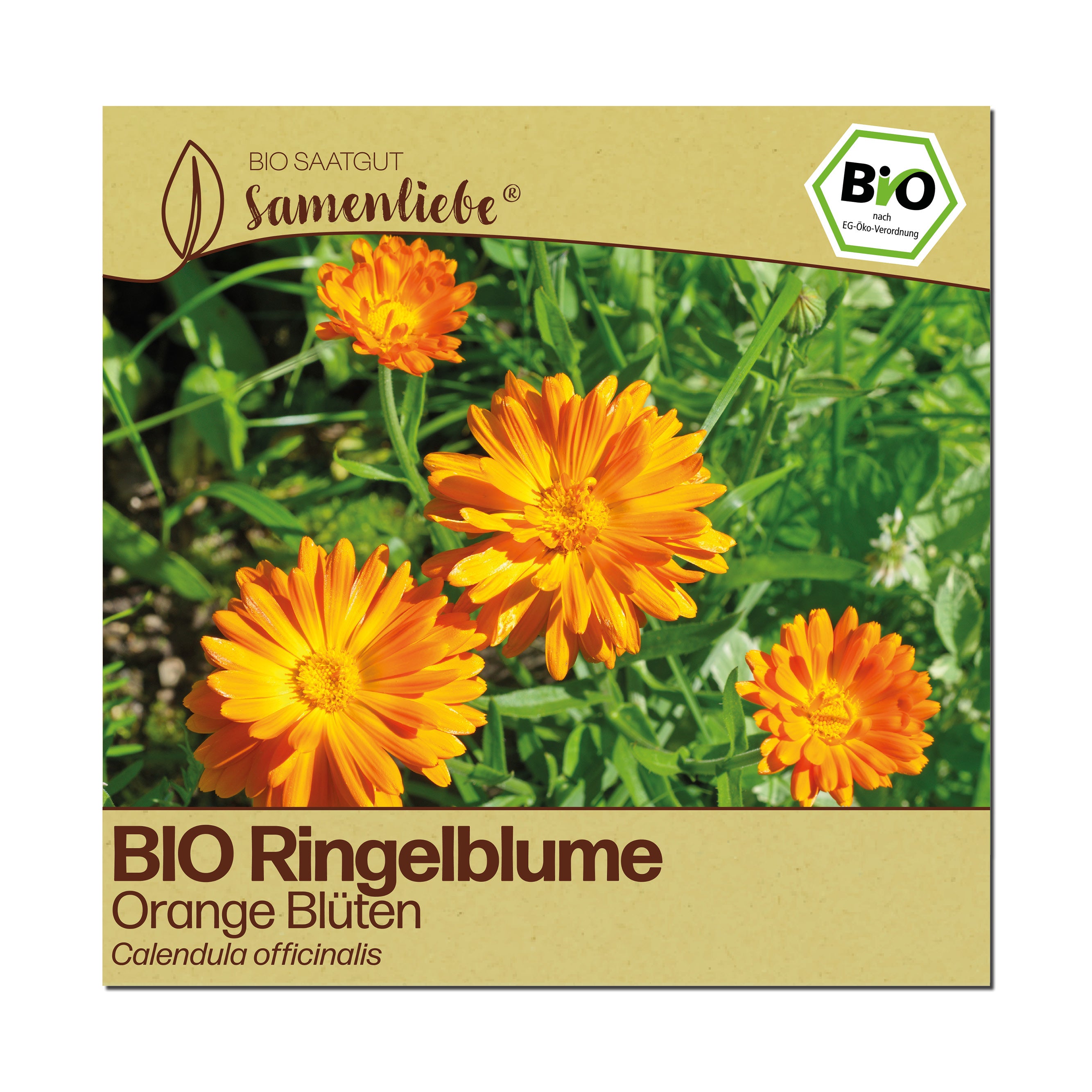 BIO Ringelblume "Wildblume"