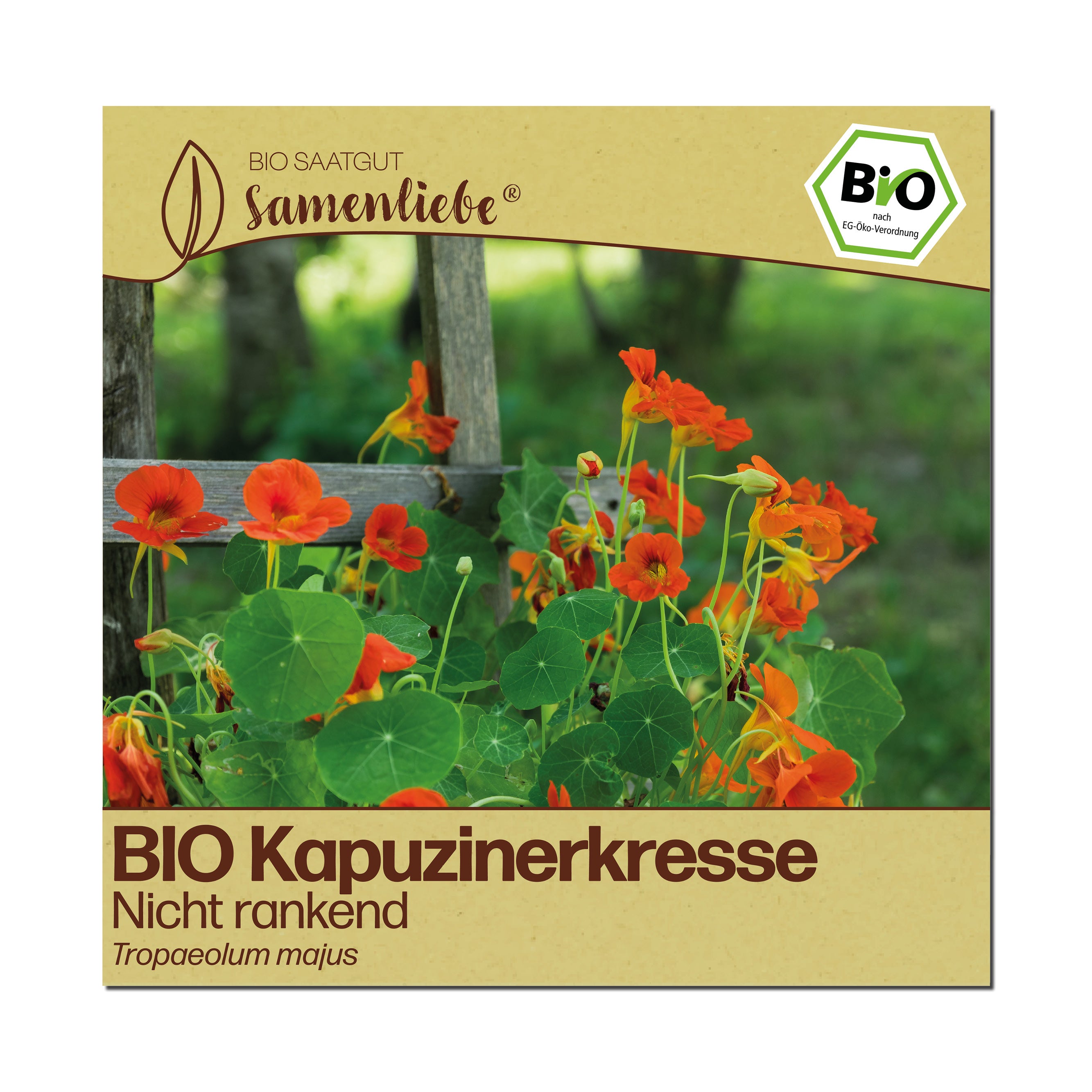 BIO Kapuzinerkresse "Nicht rankend"
