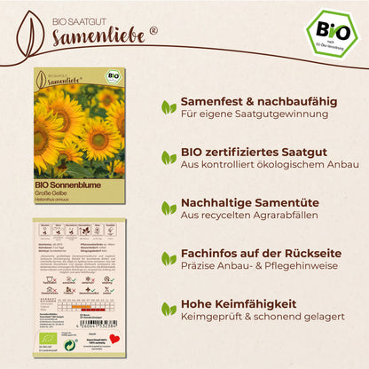 BIO Sonnenblume "XL Sonnenblume"