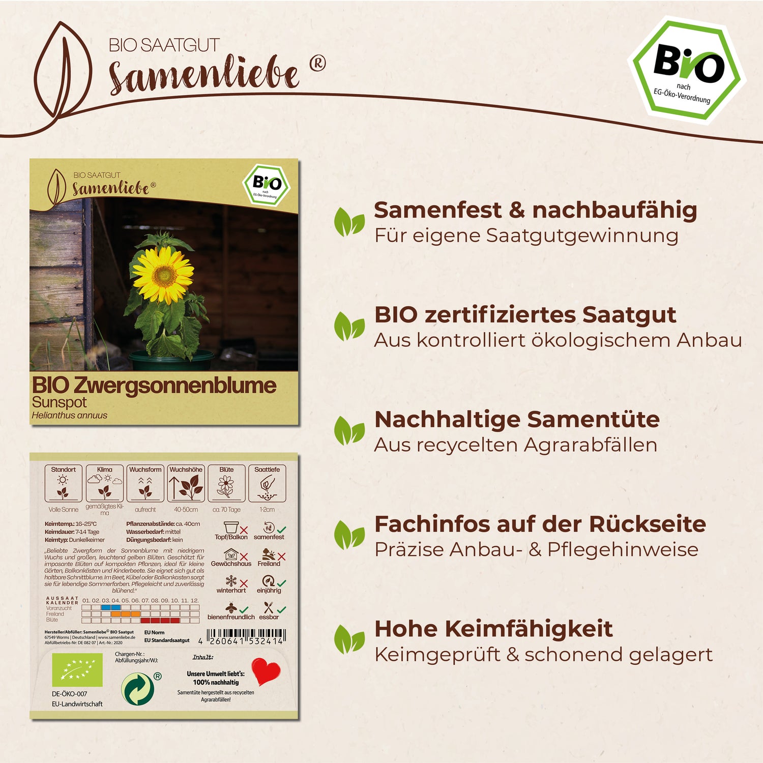 BIO Sonnenblume "Sunspot"