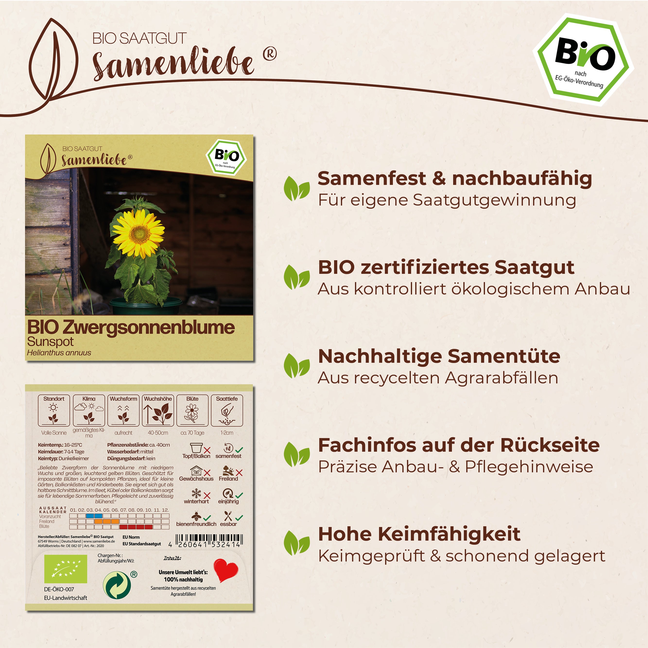 BIO Sonnenblume "Sunspot"