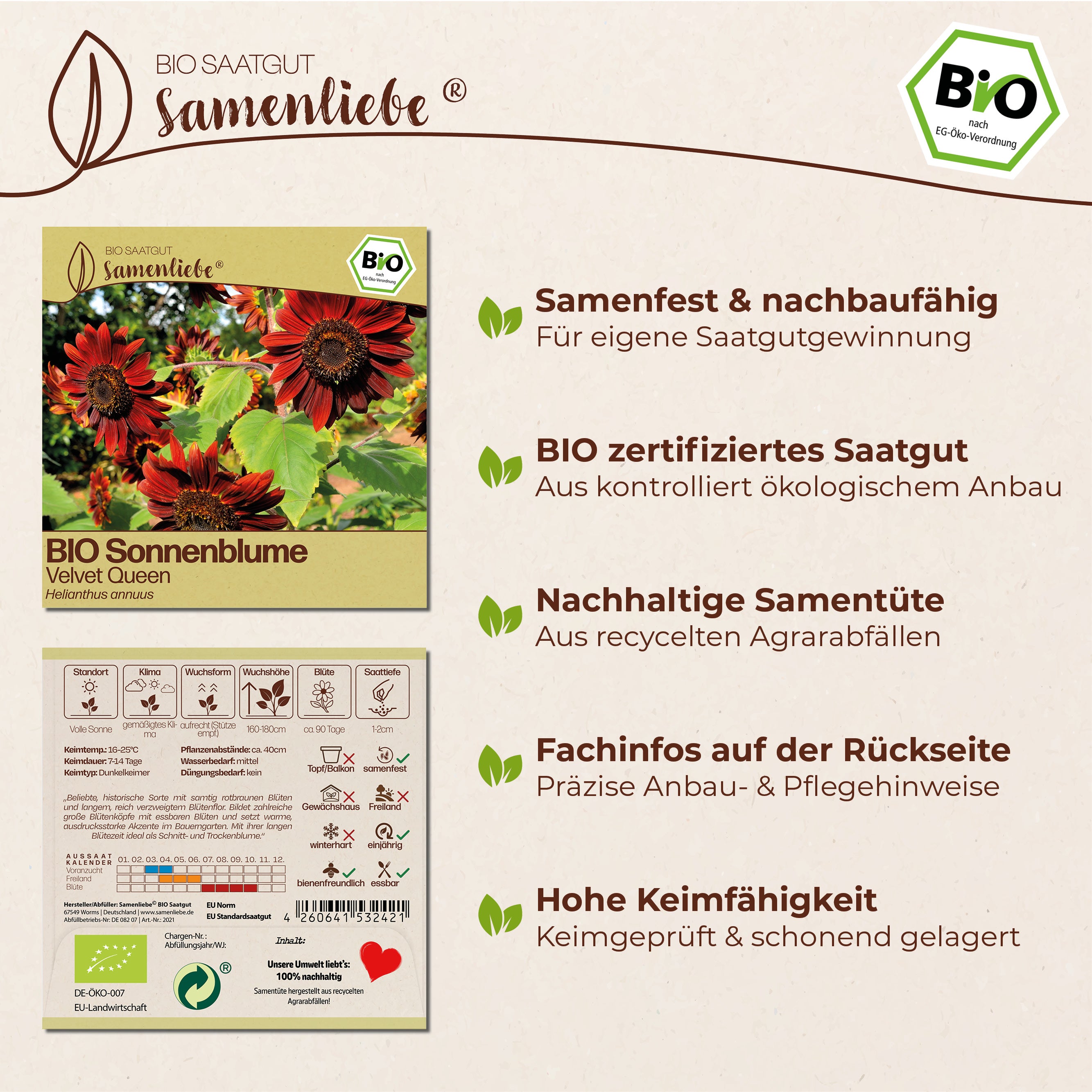 BIO Sonnenblume "Velvet Queen"