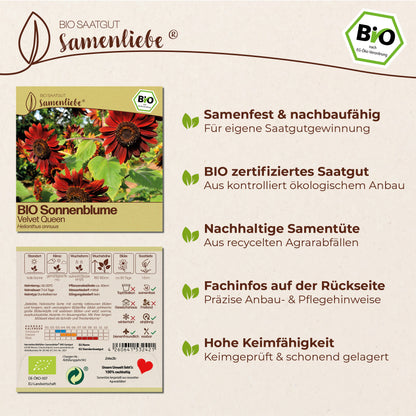BIO Sonnenblume "Velvet Queen"