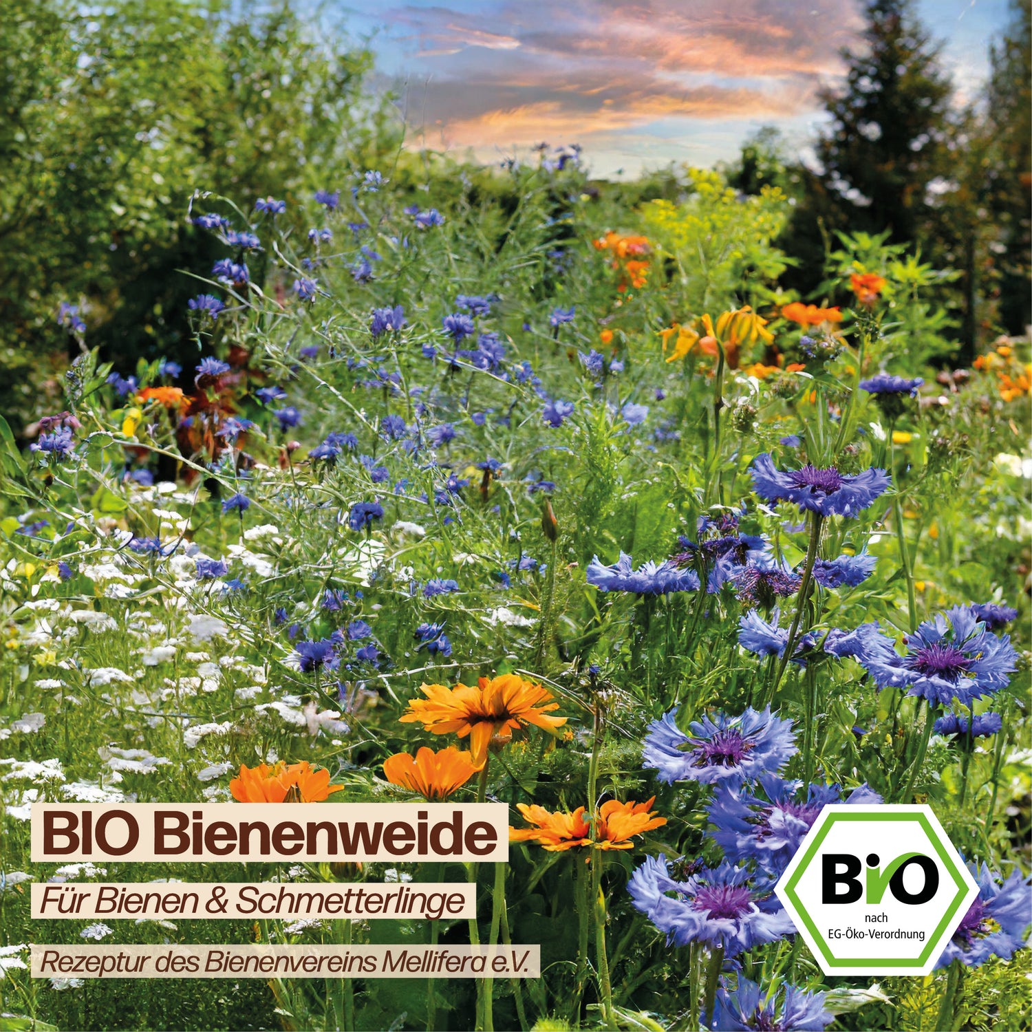 BIO Bienenweide "Für Bienen &amp; Schmetterlinge"