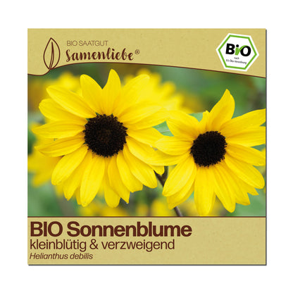 BIO Sonnenblume "kleinblütig &amp; verzweigend"