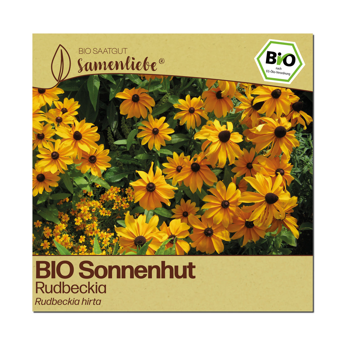 BIO Sonnenhut "Rudbeckia"