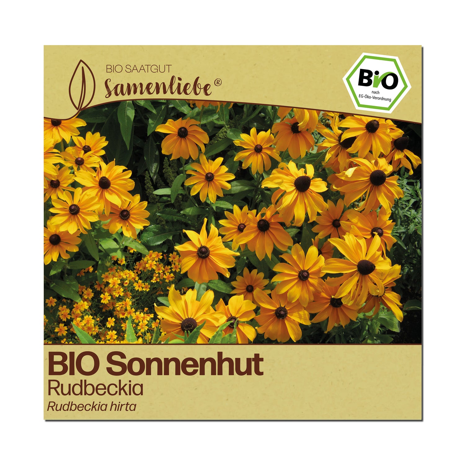 BIO Sonnenhut "Rudbeckia"