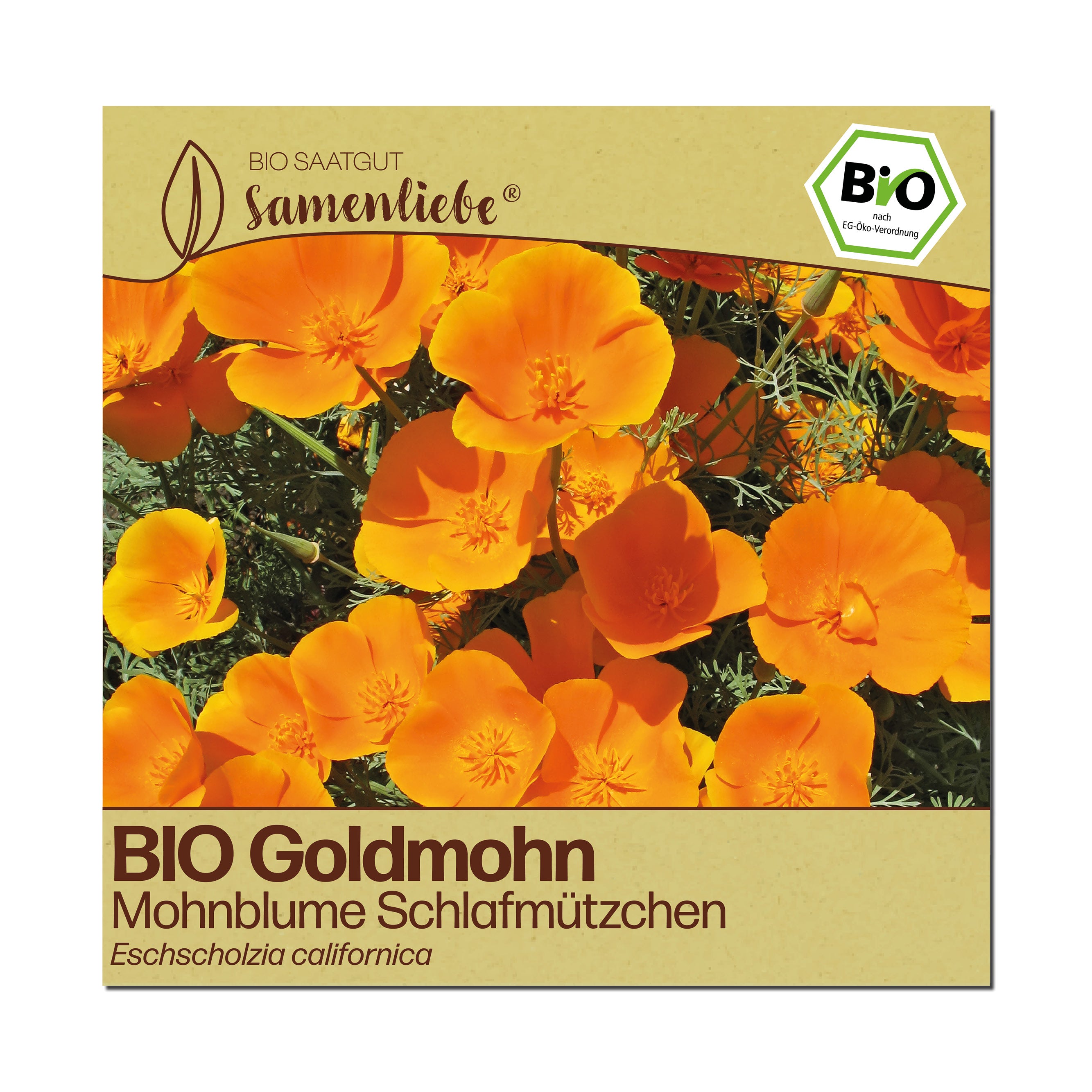 BIO Mohnblume "Schlafmützchen"