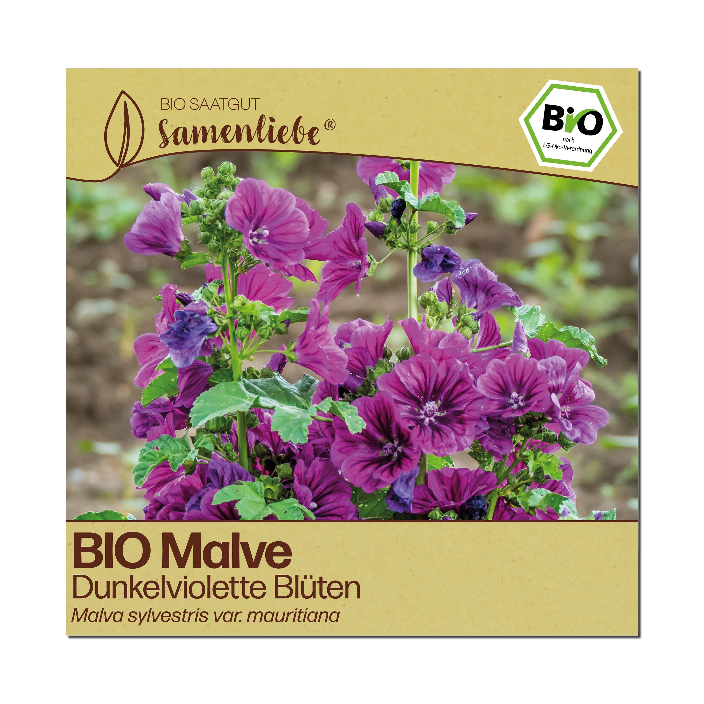 BIO Malve "Heilpflanze"