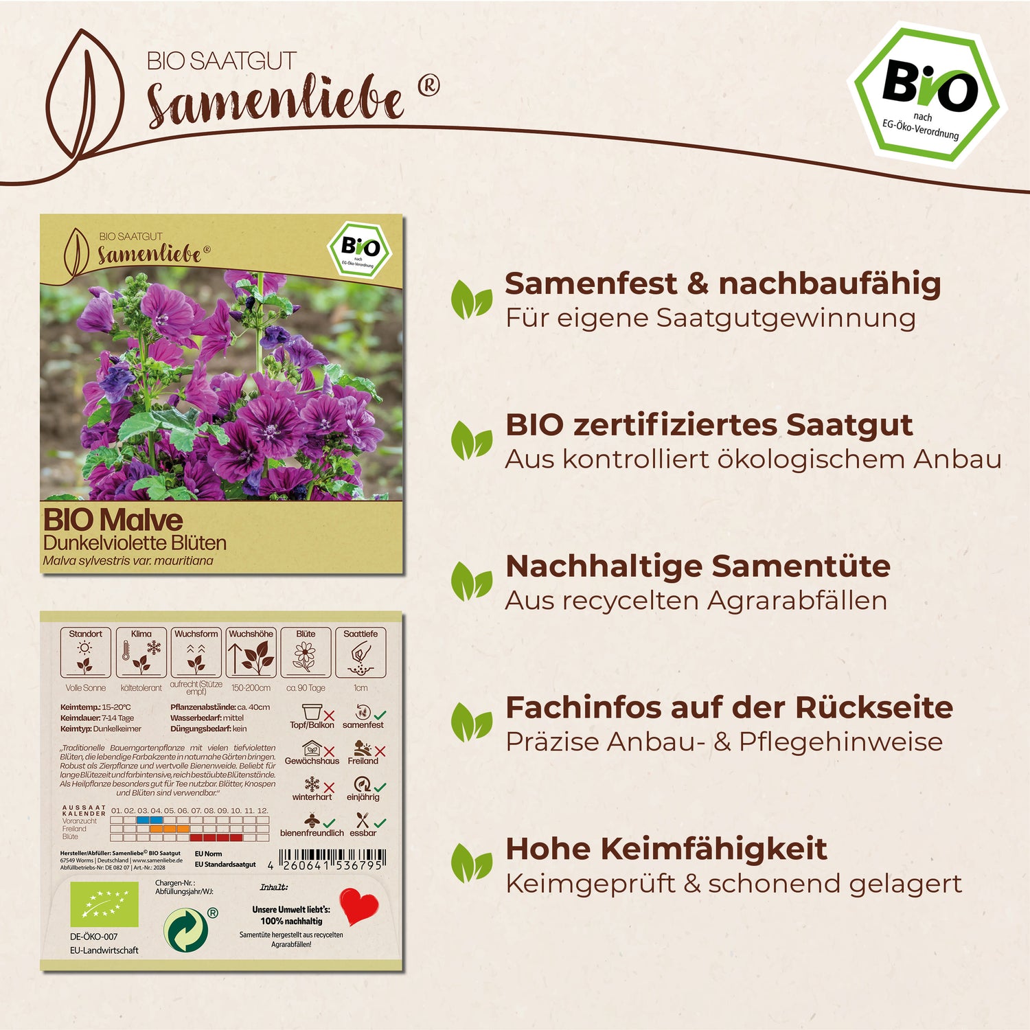BIO Malve "Heilpflanze"