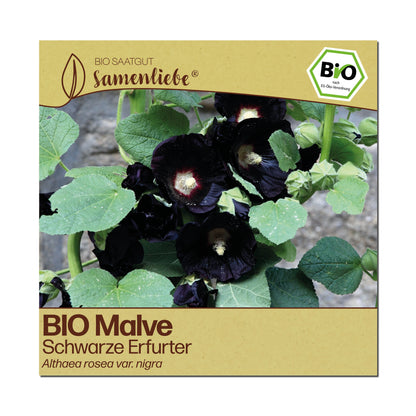 BIO Malve "Schwarze Erfurter"