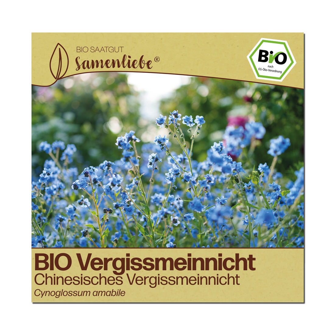 BIO Vergissmeinnicht "Chinesisches Vergissmeinnicht"