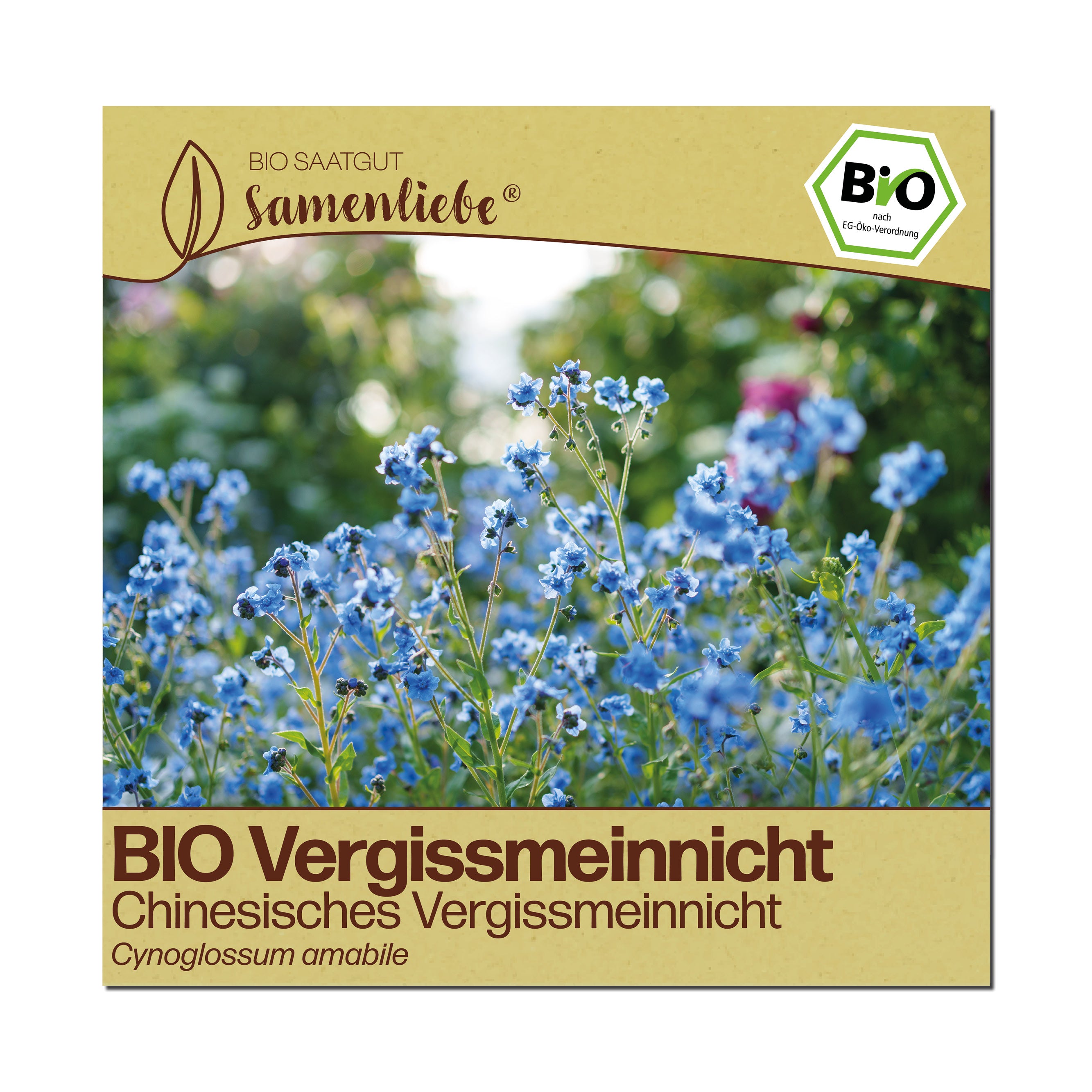 BIO Vergissmeinnicht "Chinesisches Vergissmeinnicht"