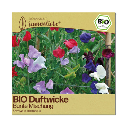 BIO Duftwicke "Bunte Mischung"