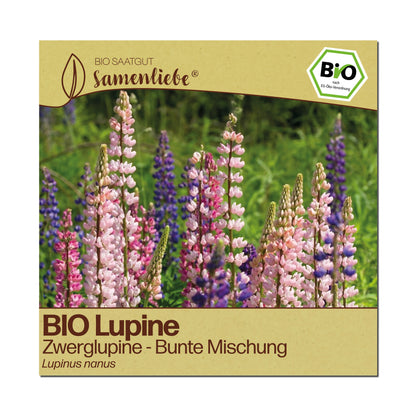 BIO Zwerglupine "Bunte Mischung"
