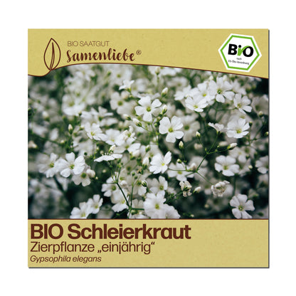 BIO Schleierkraut "Zierpflanze"