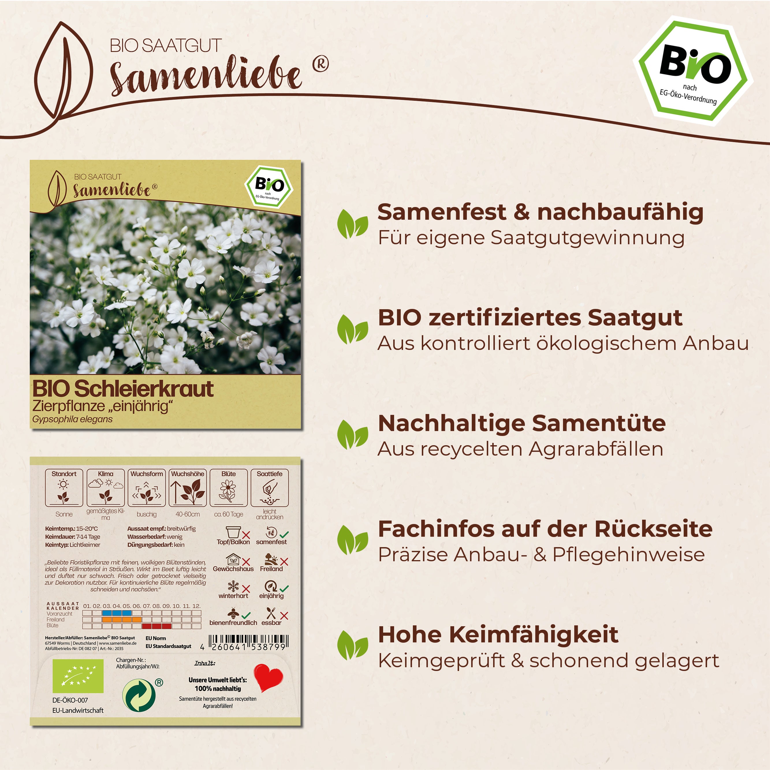 BIO Schleierkraut "Zierpflanze"