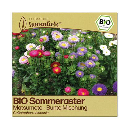 BIO Aster "Matsumoto"