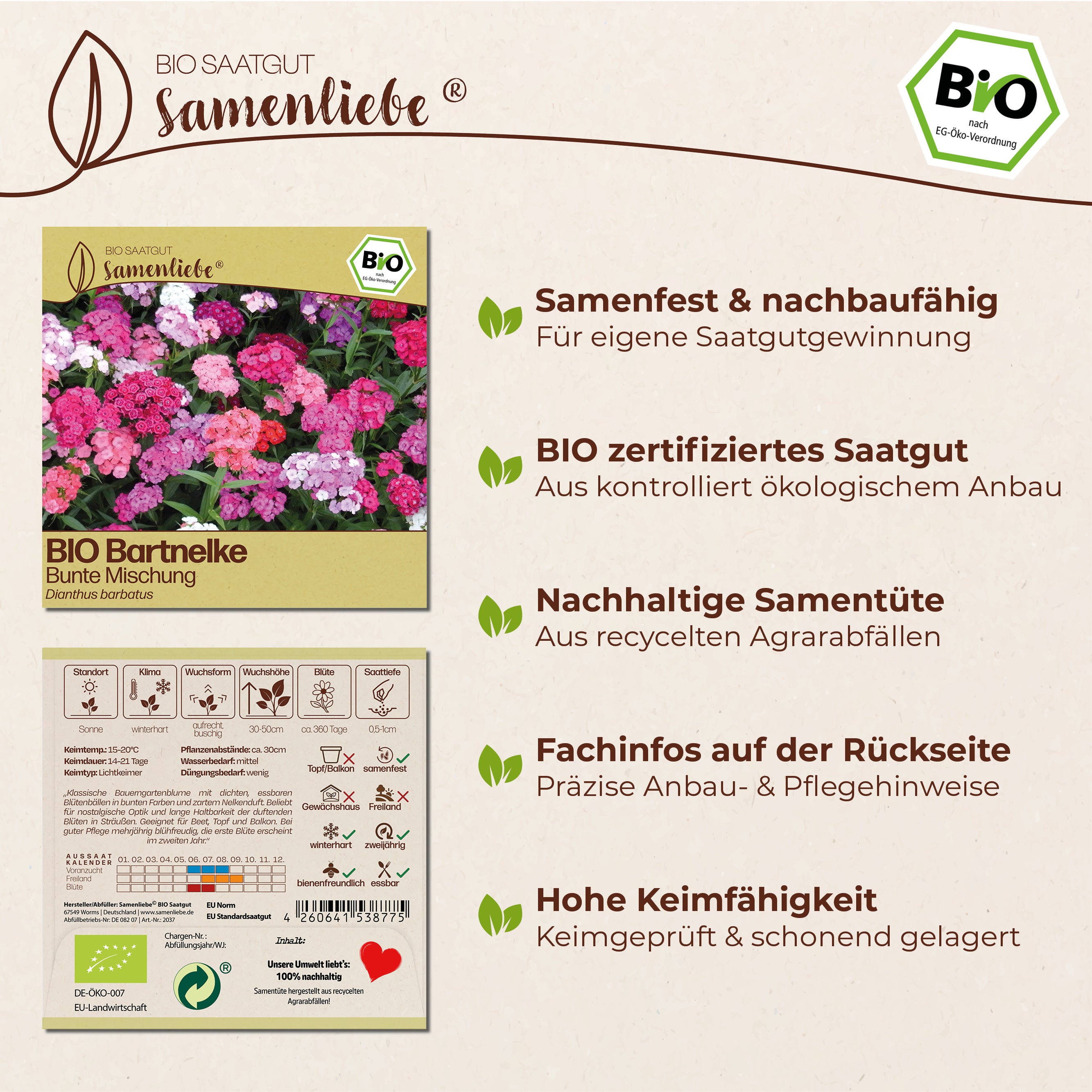 BIO Bartnelke "Schnittblume"
