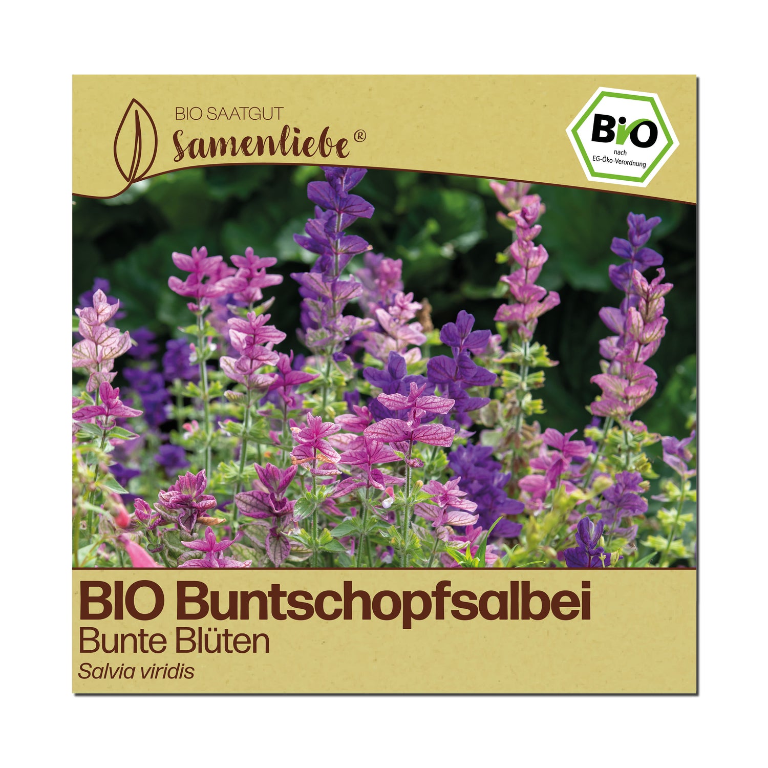 BIO Buntschopfsalbei "Zierpflanze"