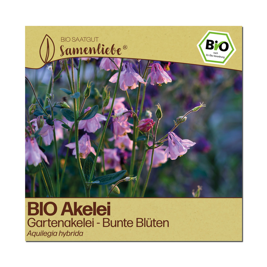 BIO Akelei "Gartenakelei - Bunte Blüten"