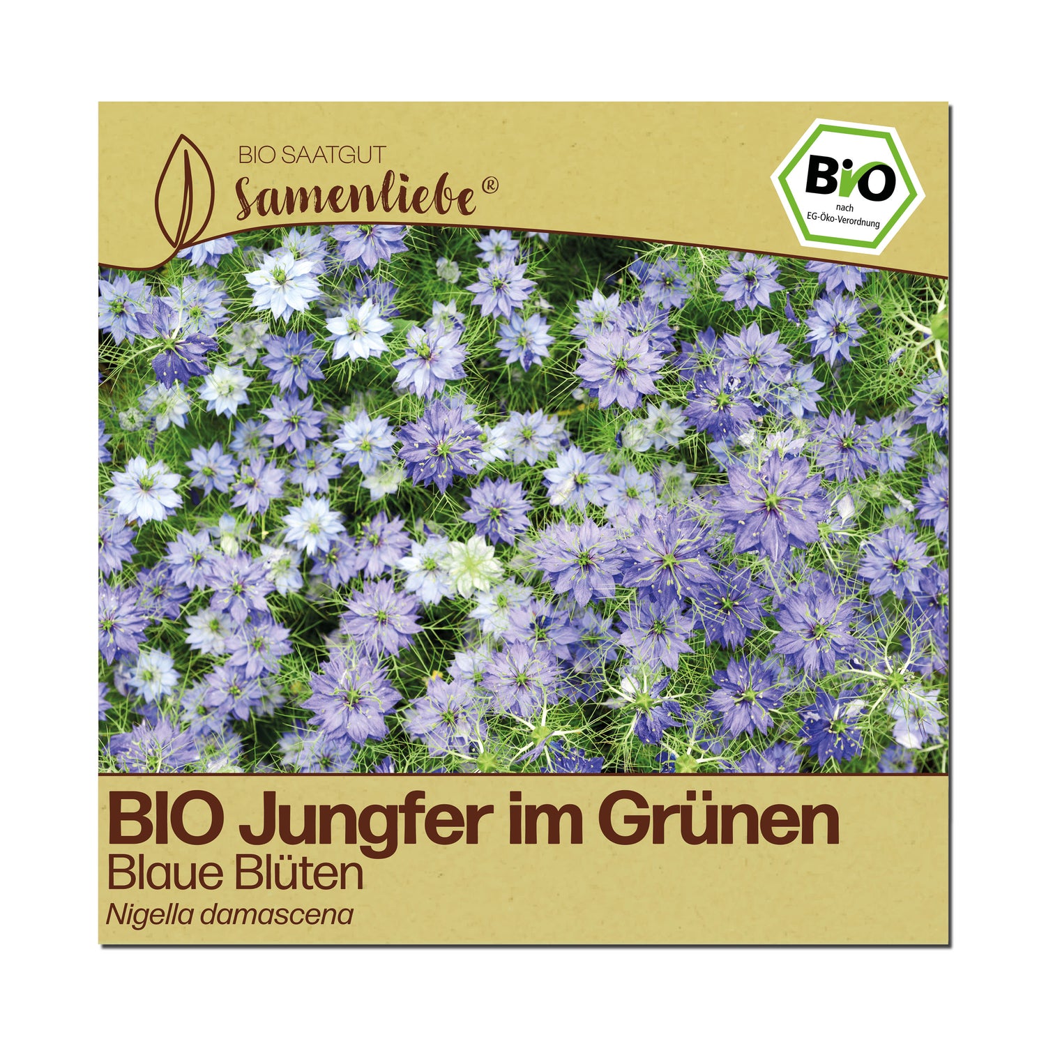 BIO Jungfer im Grünen "Blaue Blüten"