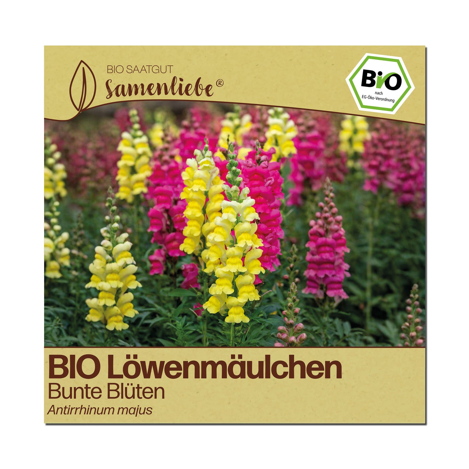 BIO Löwenmäulchen "Bunte Blüten"