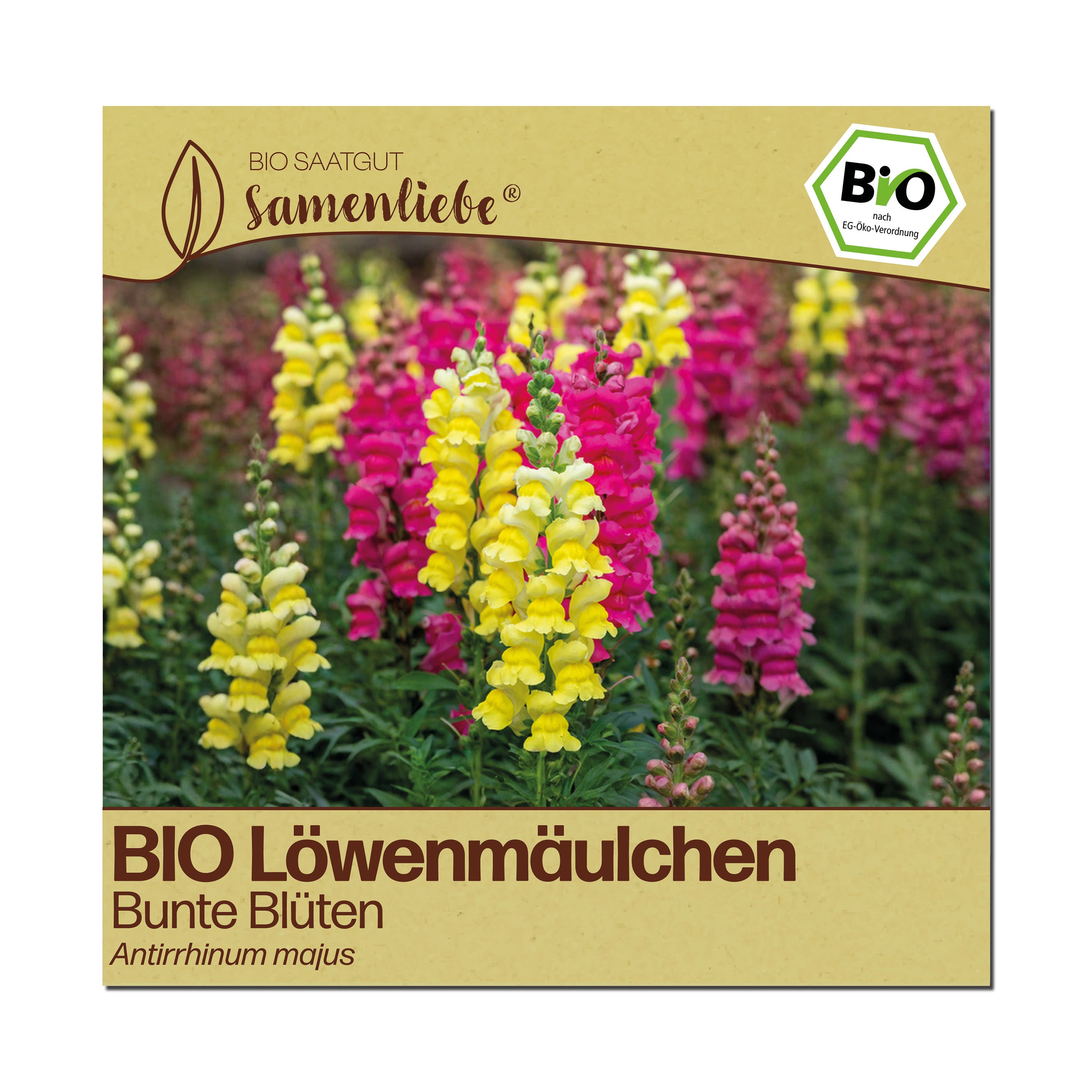 BIO Löwenmäulchen "Bunte Blüten"
